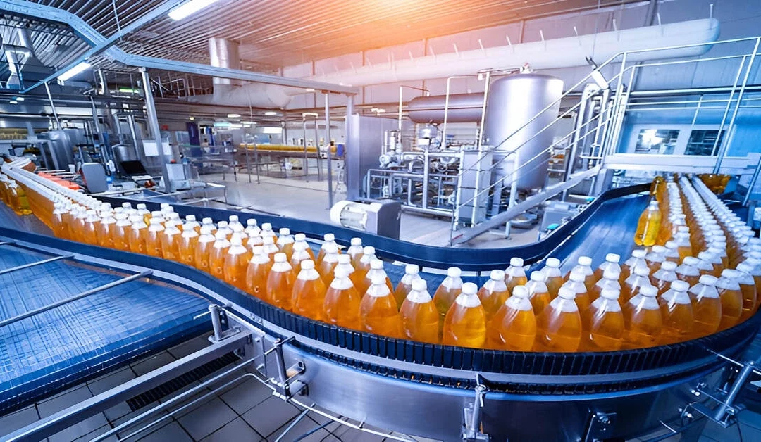 Enhancing Quality and Safety: The Role of Vision Inspection in the Food & Beverage Industry